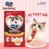Súp thưởng cho mèo Silver Spoon Gói 4 thanh Bịch 56gr