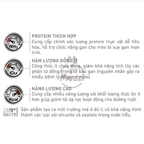  [2kg] Thức ăn hạt Royal Canin Hepatic cho mèo hỗ trợ Gan 