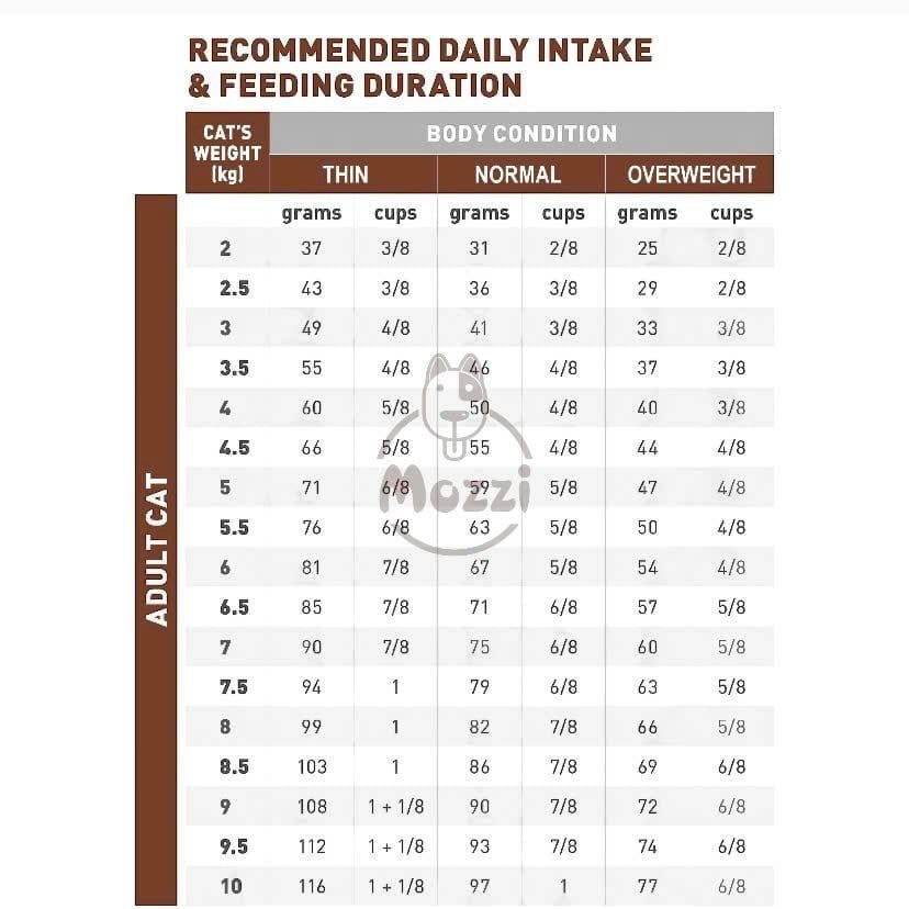 [2kg] Thức ăn hạt Royal Canin Hepatic cho mèo hỗ trợ Gan