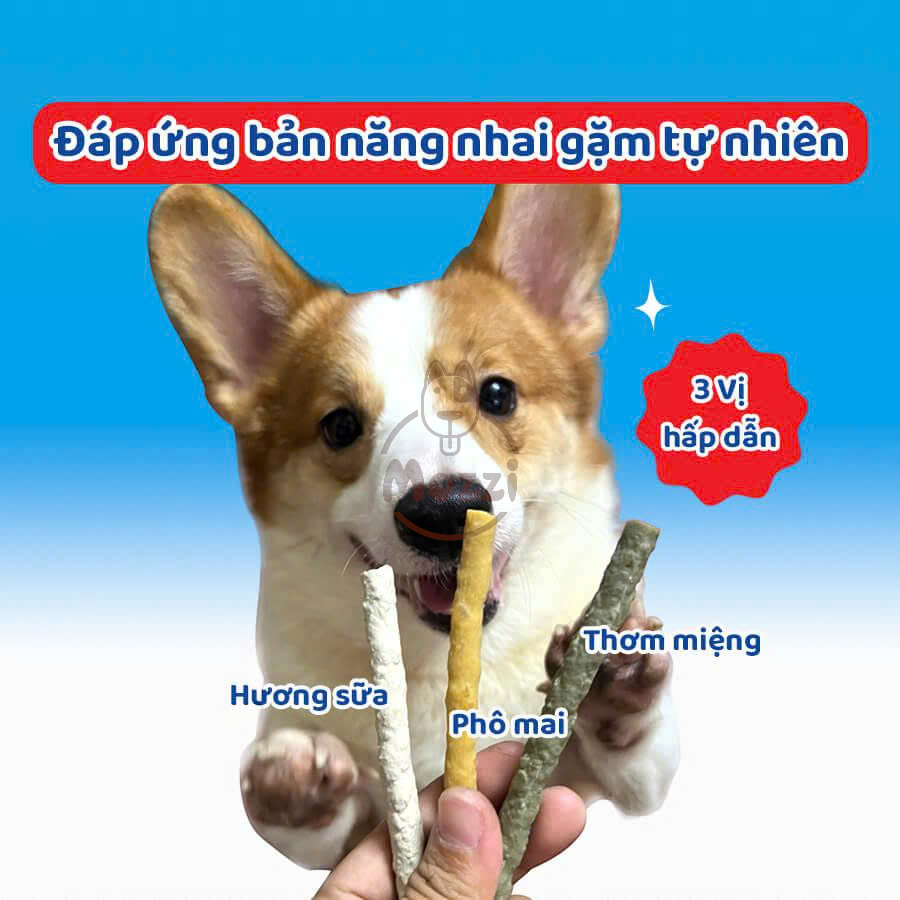 Snack cho chó Que gặm DoggyMan da bò sáp ong xoắn đôi sữa dê sạch răng thơm miệng