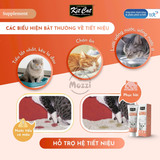  Gel dinh dưỡng cho mèo Kitcat hỗ trợ tiêu búi lông, tiết niệu và tăng cân Tuýp 120gr 