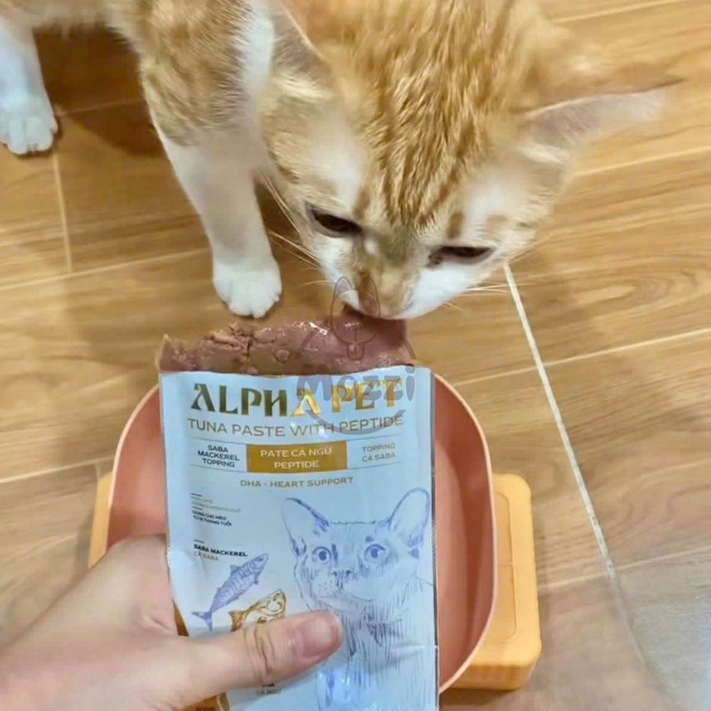 Pate cho mèo Alpha Pet Pate cá ngừ