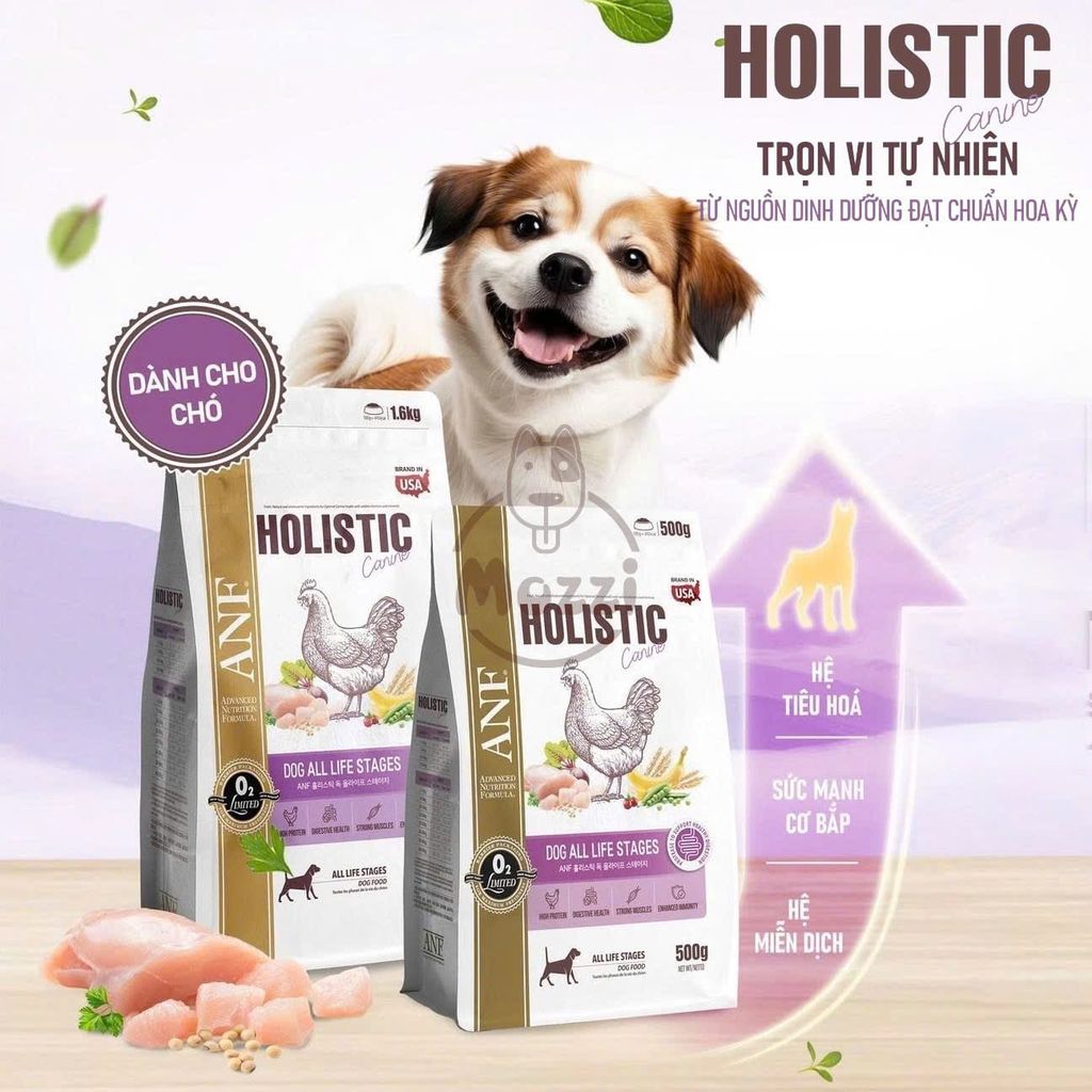 Thức ăn hạt ANF Holistic cho chó
