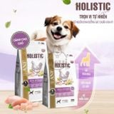  Thức ăn hạt ANF Holistic cho chó 