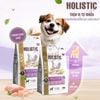 Thức ăn hạt ANF Holistic cho chó
