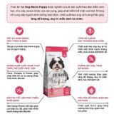  Thức ăn hạt cho chó Dog Mania 