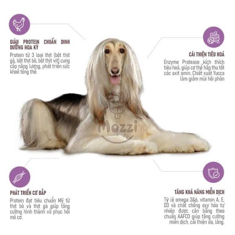 Thức ăn hạt ANF Holistic cho chó