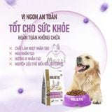  Thức ăn hạt ANF Holistic cho chó 