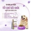 Thức ăn hạt ANF Holistic cho chó