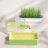  Bộ Kit trồng cỏ catnip thủy canh kèm hạt giống cho mèo 