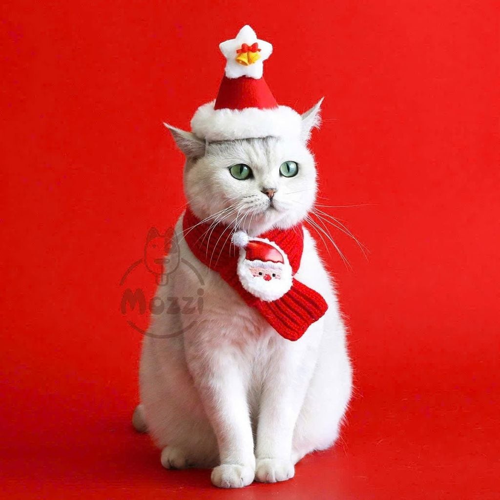 Phụ kiện Khăn len Nón noel cho chó mèo
