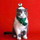  Phụ kiện Khăn len Nón noel cho chó mèo 