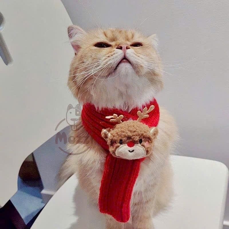Phụ kiện Khăn len Nón noel cho chó mèo