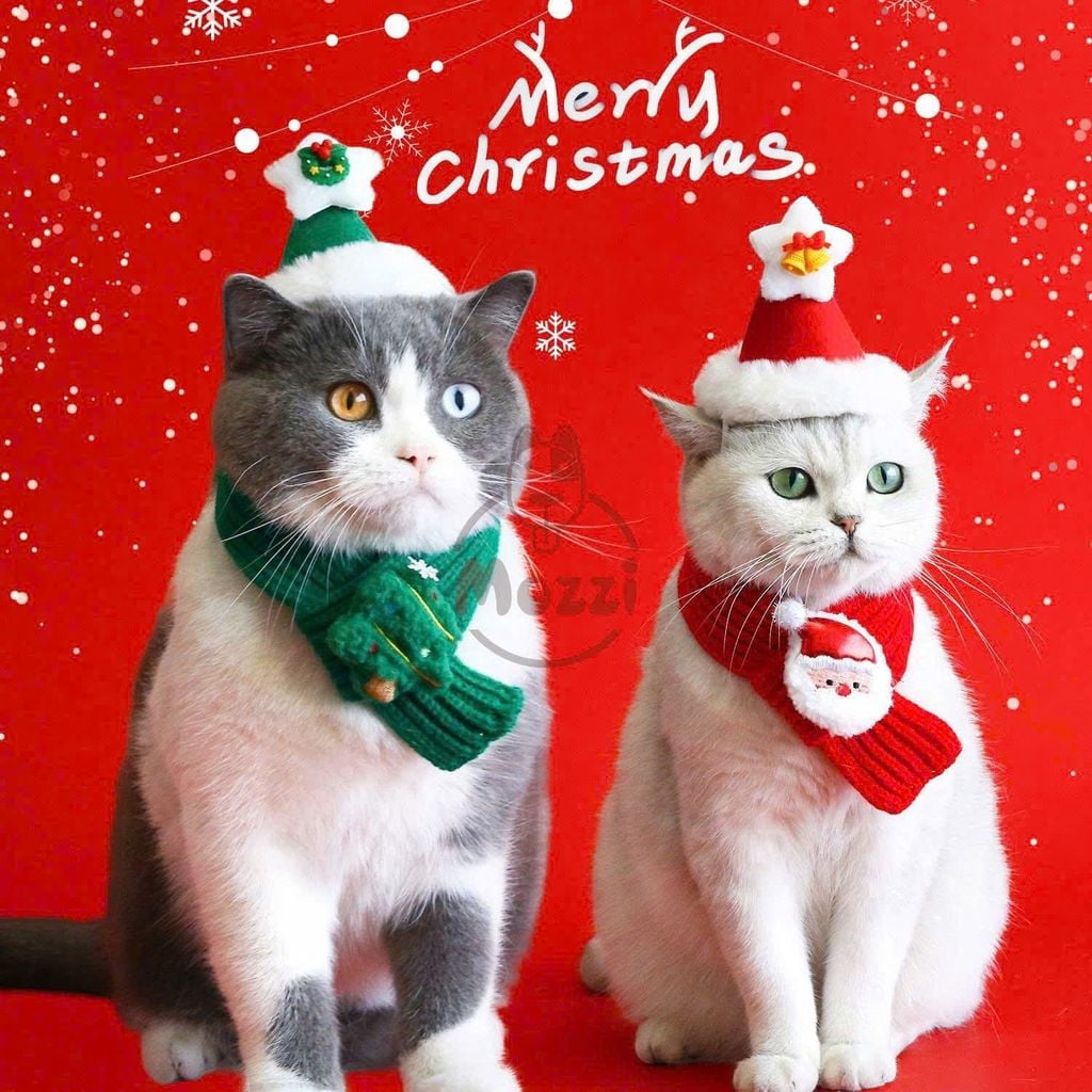 Phụ kiện Khăn len Nón noel cho chó mèo