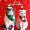 Phụ kiện Khăn len Nón noel cho chó mèo