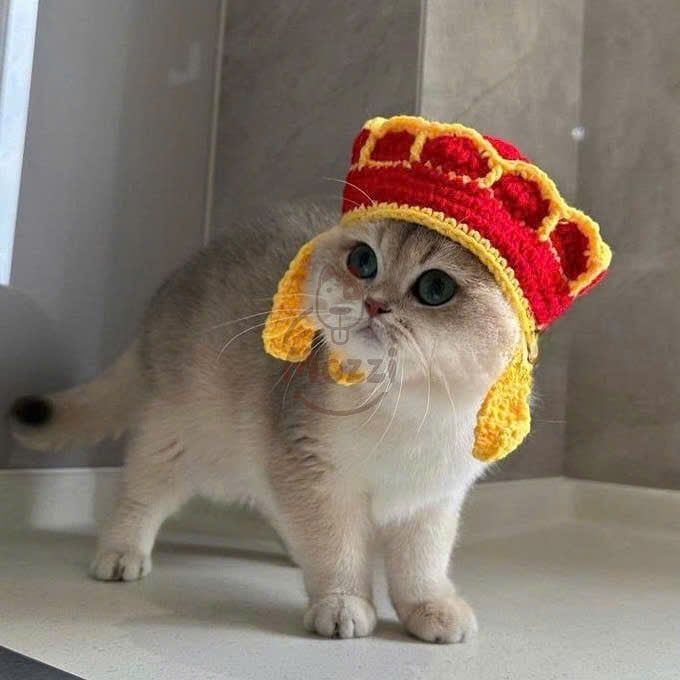 Nón len hình thú dễ thương cho chó mèo