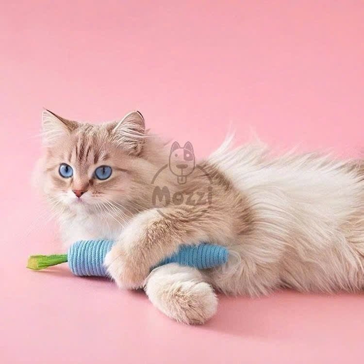 Đồ chơi Củ Cà Rốt gặm ngứa răng cho chó mèo