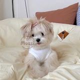  Áo ba lỗ Happiness cho chó mèo 