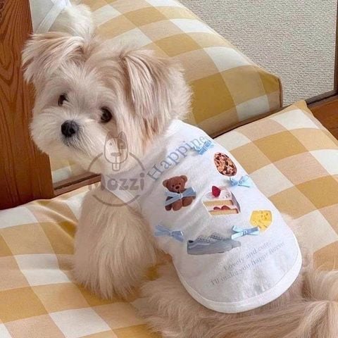 Áo ba lỗ Happiness cho chó mèo