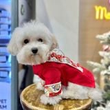  Áo dài gấm Tết Phúc An cho chó mèo 