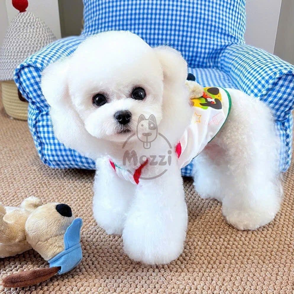 Áo 2 dây Cat Diary hình nổi cho chó mèo