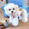 Áo 2 dây Cat Diary hình nổi cho chó mèo