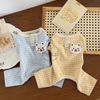 Áo liền chân caro mặt gấu trắng có khoen dắt cho chó mèo