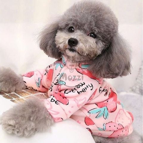  Áo liền chân trái dâu Straw berry cho chó mèo 