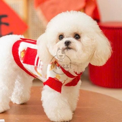  Áo len Cardigan hình con rắn có túi cho chó mèo 