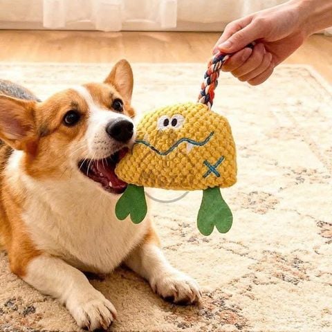  Đồ chơi gặm vải nhung dây thừng âm thanh cho chó 