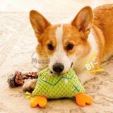  Đồ chơi gặm vải nhung dây thừng âm thanh cho chó 