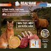 [4 LON TẶNG MUỖNG NGẪU NHIÊN]Pate thịt tươi Catidea Real and Raw cao cấp cho mèo