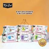  Khăn ướt Kitcat kháng khuẩn cho mèo Gói 80 miếng 