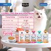 Pate cho mèo KitCat Savoury Soup dạng súp nhiều nước Gói 50g