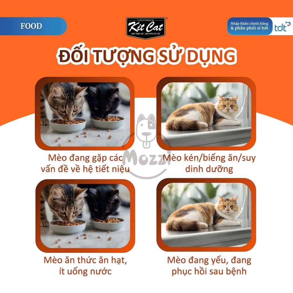 Pate cho mèo KitCat Savoury Soup dạng súp nhiều nước Gói 50g