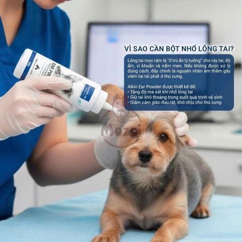 Bột nhổ lông tai Petis Alkin Ear Powder cho chó mèo