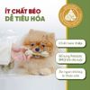 Snack cho chó Jireho Xương quấn gà không chứa Gluten