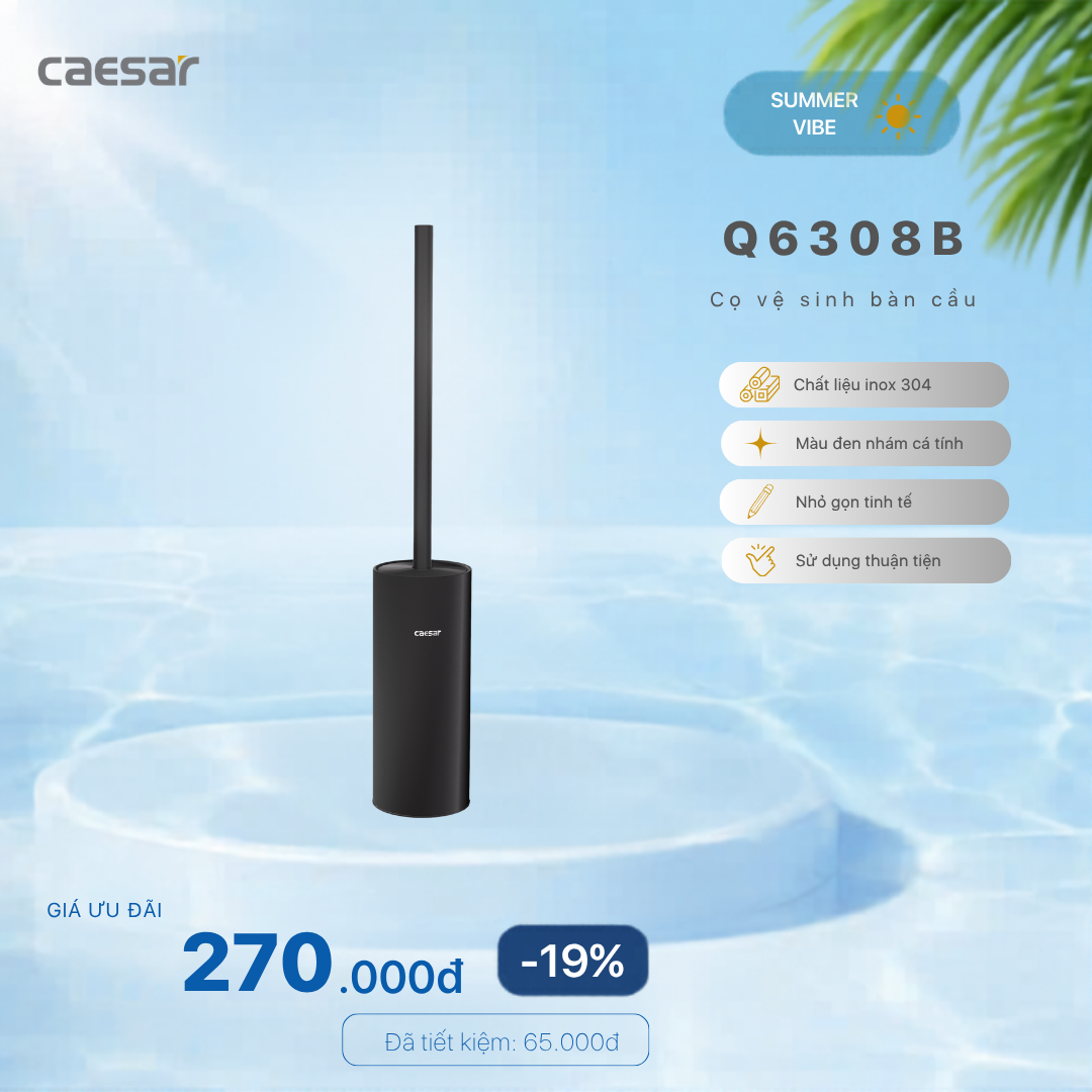  Khuyến mãi ưu đãi - Cọ vệ sinh bàn cầu Q6308B 
