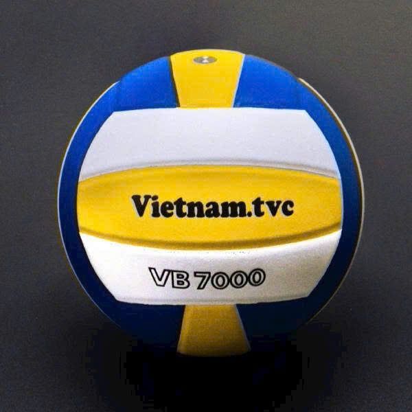 Quả Bóng chuyền Thăng Long VB7000