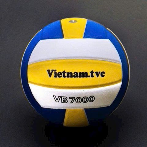 Quả Bóng chuyền Thăng Long VB7000