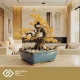 Cây Tùng La Hán Mạ Vàng 24K