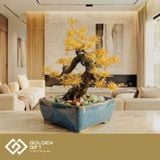 Cây Tùng La Hán Mạ Vàng 24K