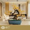 Cây Tùng La Hán Mạ Vàng 24K