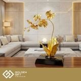 Hoa phong lan Hồ điệp mạ vàng
