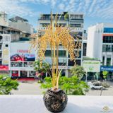 Hũ Lúa Tài Lộc Mạ Vàng