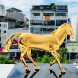 Ngựa Vàng An Nhiên