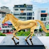 Ngựa Vàng An Nhiên