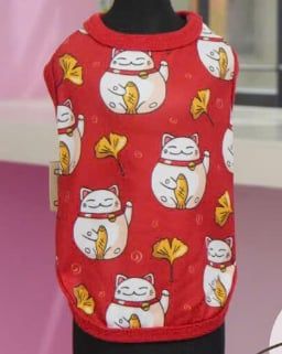  Áo Tết mèo thần tài 