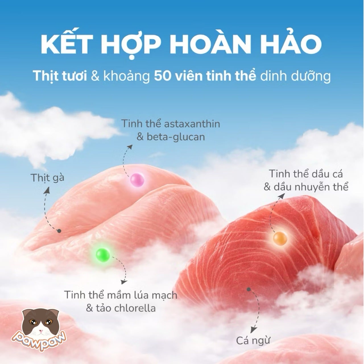  Thức ăn hỗn hợp hoàn chỉnh pate dạng hạt nổ cho mèo từ 3 tháng tuổi FAENBEI 70g 