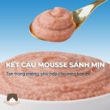  Thức ăn hỗn hợp hoàn chỉnh pate dạng mousse cho mèo FAENBEI 85g 